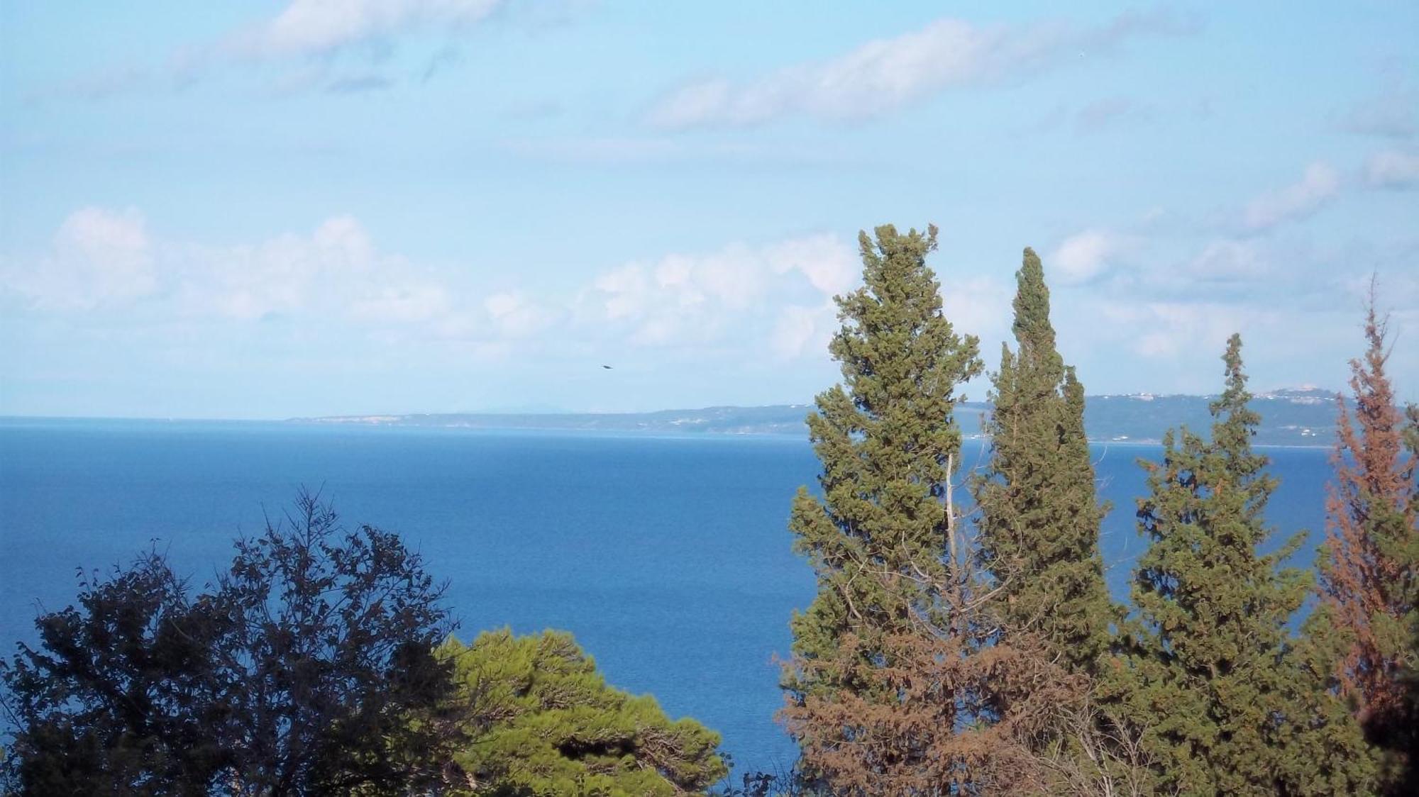 Belvedere Zakynthos Studios Vasilikos  Room photo
