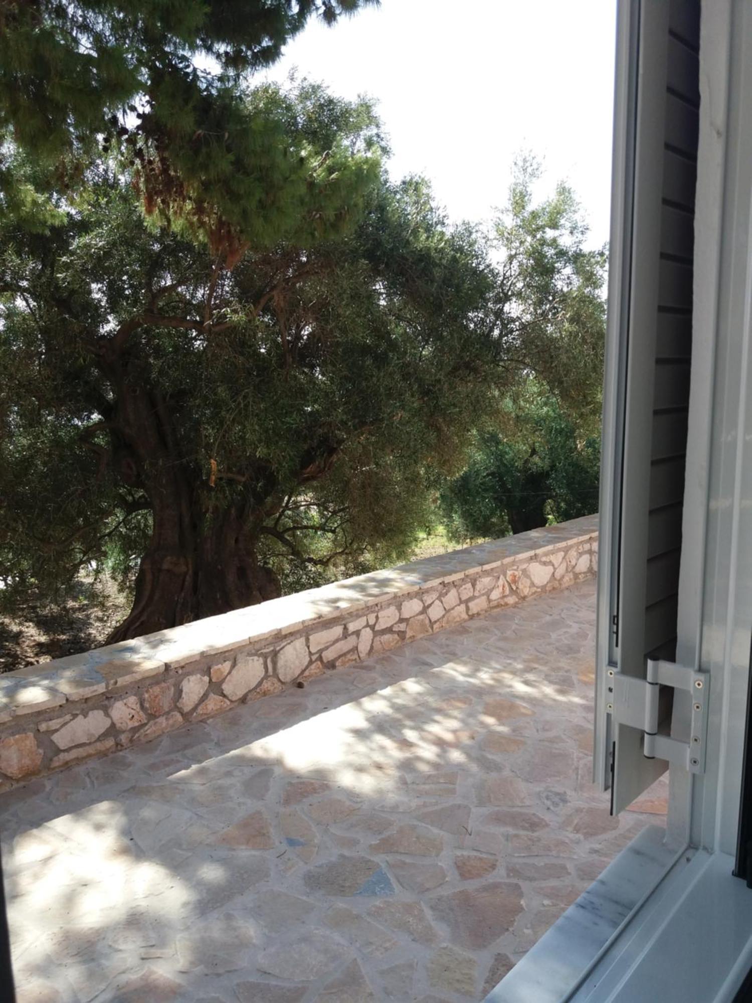 Belvedere Zakynthos Studios Vasilikos  Room photo